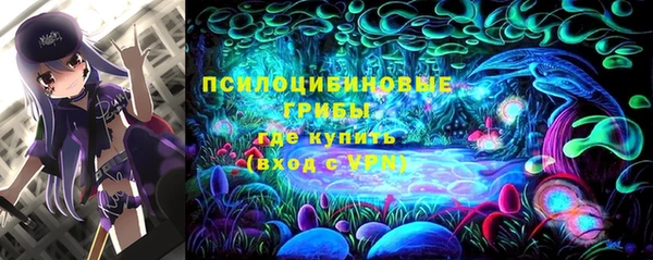 дурь Алзамай