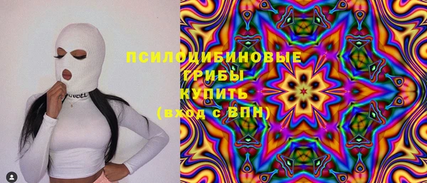 мдпв Абаза